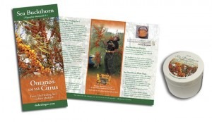 Golden Orchard Brochure