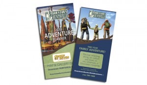 BI Adventure 2010