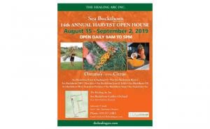 Healing Arc Seabuckthorn