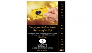 Gemini Gift Card