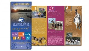 WT Brochure
